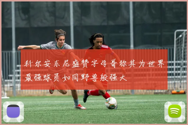 科尔安东尼盛赞字母哥称其为世界最强球员如同野兽般强大
