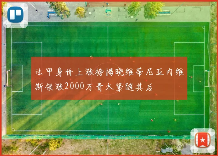 法甲身价上涨榜揭晓维蒂尼亚内维斯领涨2000万青木紧随其后